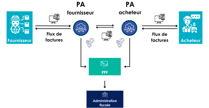 Schema Y